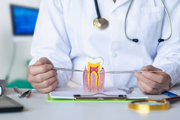 Best Emergency Root Canal Treatment in Delevan, NY